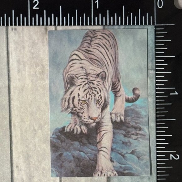 🌀10/$10🌀 Classic Vicious Cats Lion Tiger Cheetah Reusable Washi Sticker Decal - Picture 1 of 1